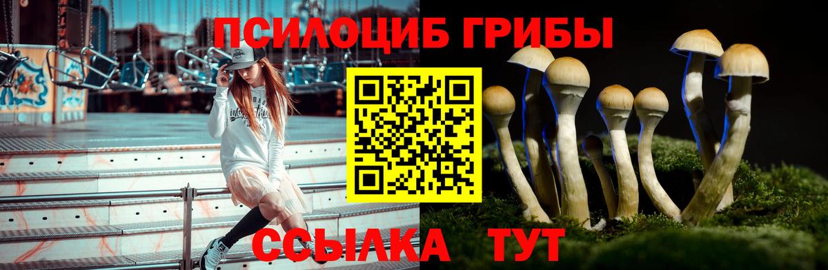 Псилоцибиновые грибы мицелий Рославль